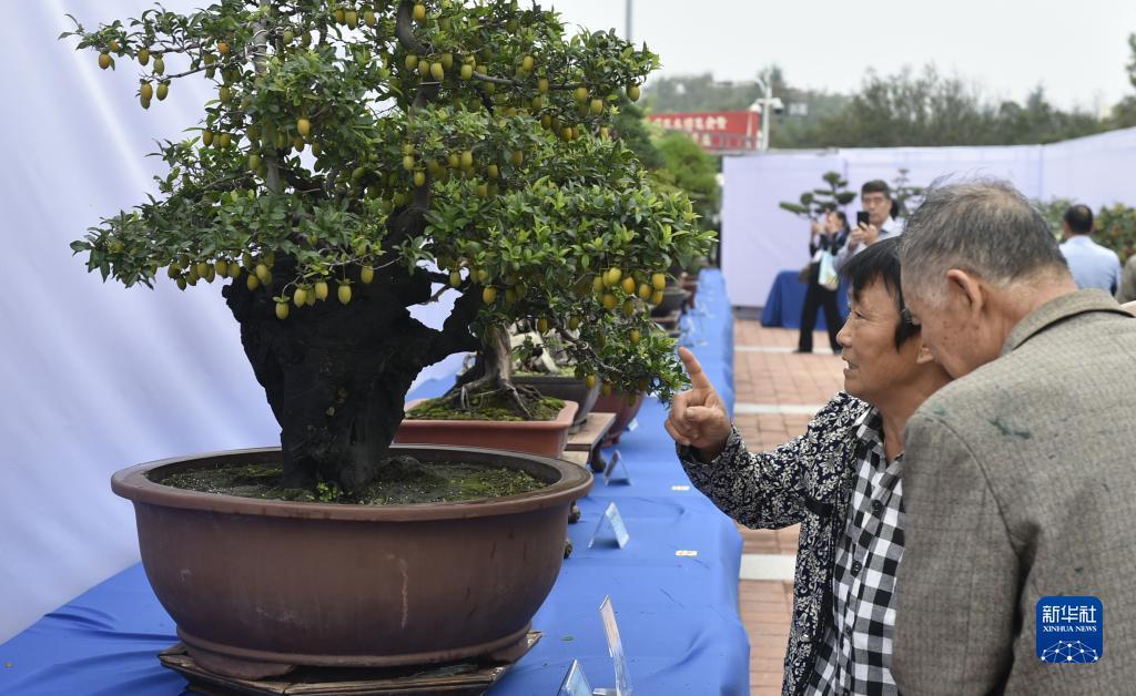 金沙平台大全